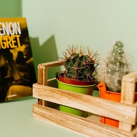 Nell'antico Borgo Bed and Breakfast