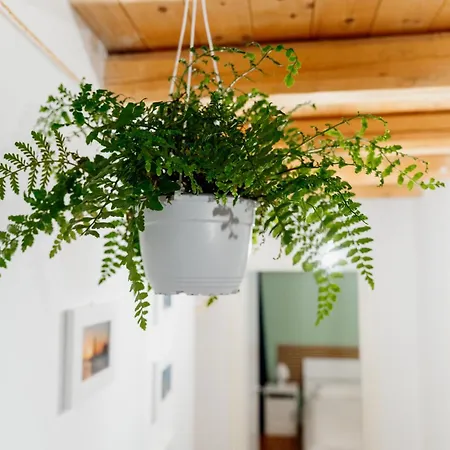 Nell'antico Borgo Μολφέττα